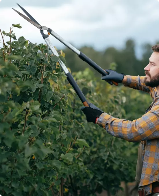 Jardineiro a efetuar a poda 