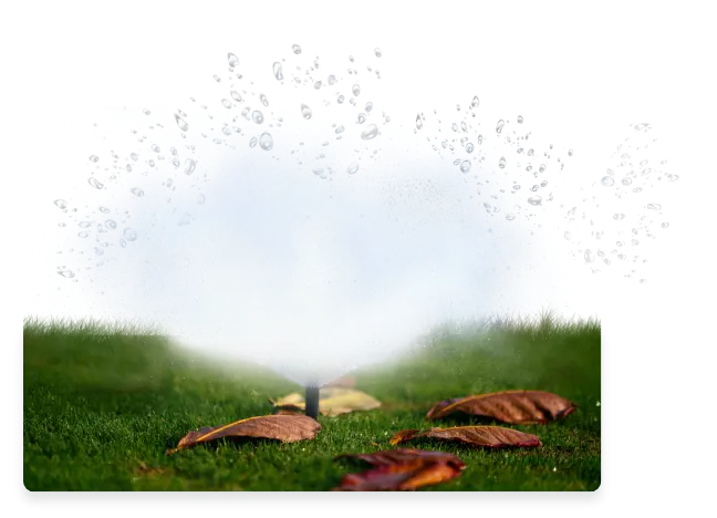 Sistema de rega a funcionar