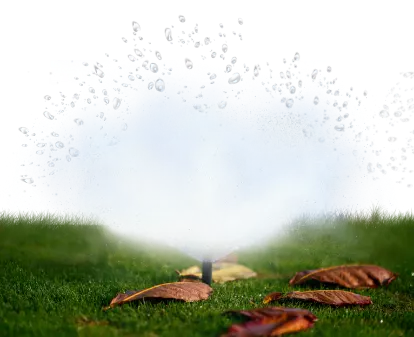 Sistema de rega a funcionar